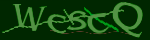 Enter the character string shown in the picture